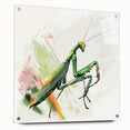 Acrylic glass wall art featuring a detailed side view of a colorful mantis design, showcasing vibrant greens and intricate patterns, ideal for insect lovers’ décor.