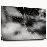 Acrylic wall art collection showcasing a detailed insect and arachnid spider design, featuring vibrant colors and intricate patterns, displayed with pins against a clean background. Perfect for nature lovers and art enthusiasts.