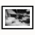 Framed wall art showcasing a detailed spider design from the Insect and Arachnid collection, featuring a sleek black frame and mat, perfect for nature enthusiasts.