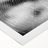 Intricate spider design on a rolled canvas, showcasing detailed illustrations of various arachnids in vibrant colors, perfect for nature lovers and art enthusiasts.