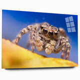 Acrylic glass wall art collection showcasing a detailed side view of a spider and insect design, perfect for nature enthusiasts and modern decor.