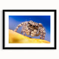 Framed wall art featuring a detailed insect and arachnid spider design, set against a black background, showcasing intricate patterns and textures, perfect for nature enthusiasts.