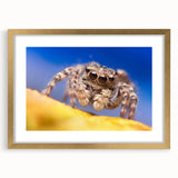 Elegant framed wall art featuring a detailed insect and arachnid spider design in gold, set against a crisp white mat, perfect for nature enthusiasts and modern decor.