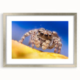 Framed wall art featuring a detailed insect and arachnid spider design in a silver frame, complete with a mat, showcasing intricate patterns and textures. Ideal for nature enthusiasts and modern decor.
