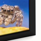 Framed canvas wall art showcasing a close-up of intricate spider and insect designs, featuring vibrant colors and detailed textures, perfect for nature enthusiasts.