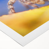 Stylish rolled canvas wall art featuring a detailed design of various insects and spiders, showcasing intricate patterns and colors, perfect for nature enthusiasts.