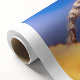 Rolled canvas wall art showcasing a detailed insect and arachnid spider design, featuring vibrant colors and intricate patterns, perfect for nature enthusiasts' decor.