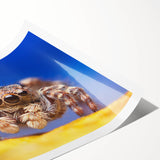 Detailed wall art print showcasing a vibrant insect and arachnid spider design, featuring intricate illustrations on a rolled canvas, perfect for nature enthusiasts.