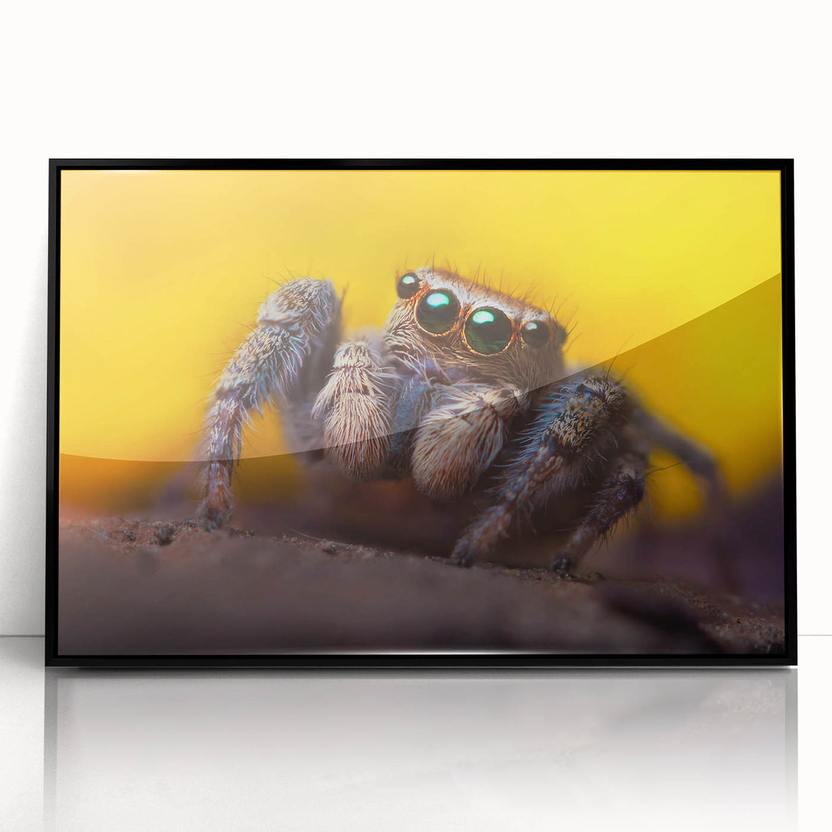 Framed wall art showcasing a detailed insect and arachnid spider design in black acrylic, perfect for nature enthusiasts and modern home decor. Ideal for adding an artistic touch to living spaces.