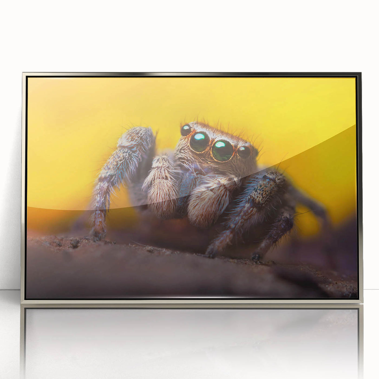 Framed acrylic wall art showcasing a detailed insect and arachnid spider design, elegantly presented with a silver frame, ideal for nature enthusiasts and home decor.