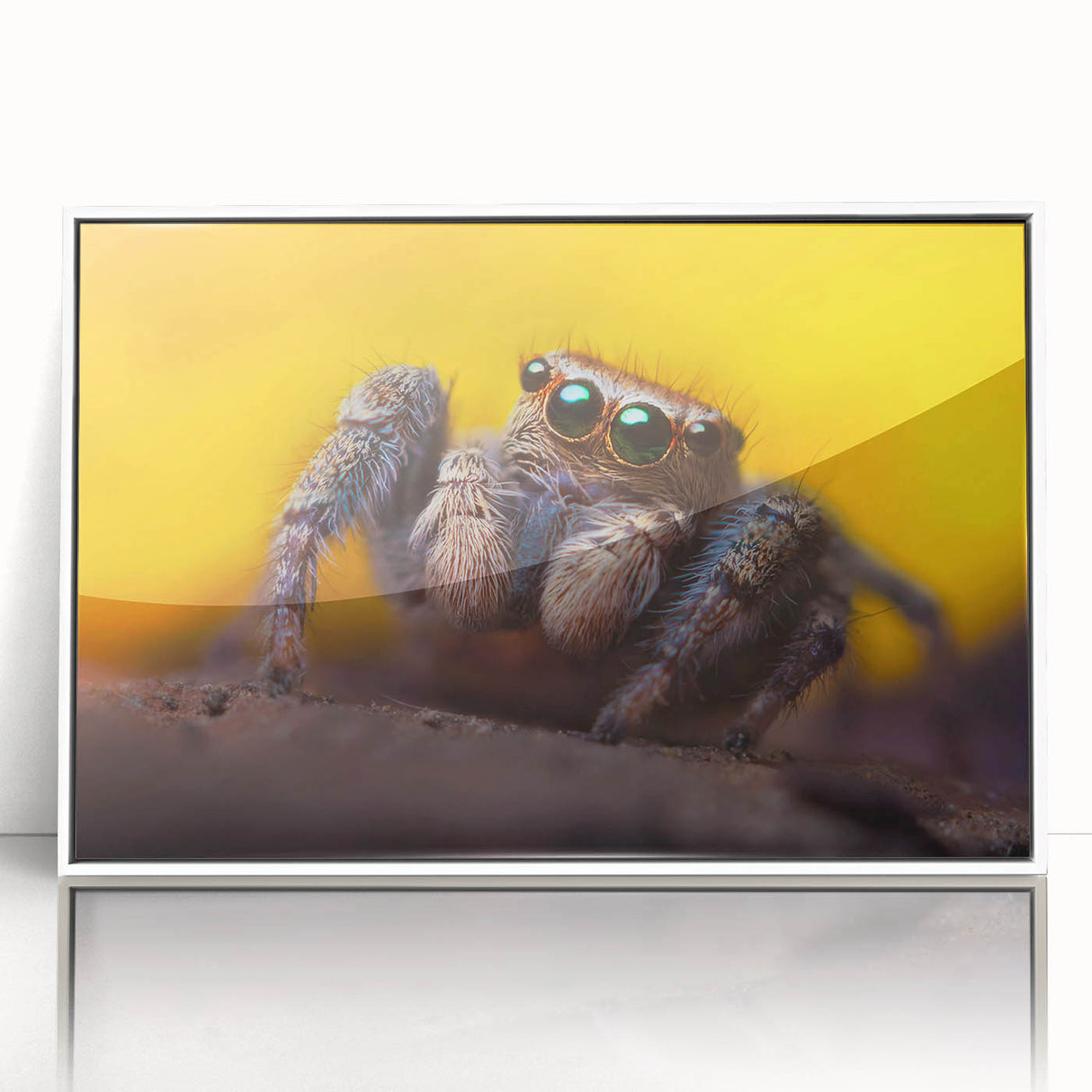 Framed wall art showcasing a detailed insect and arachnid spider design, featuring a white frame and acrylic front, perfect for nature enthusiasts and modern decor.