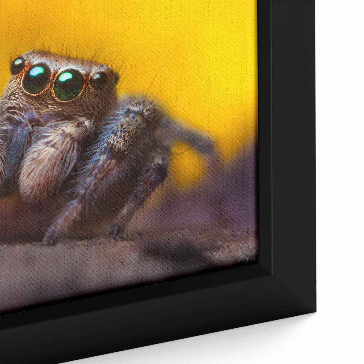 Close-up view of a framed canvas wall art piece depicting a detailed insect and arachnid spider design, showcasing intricate textures and vibrant colors, perfect for nature enthusiasts.