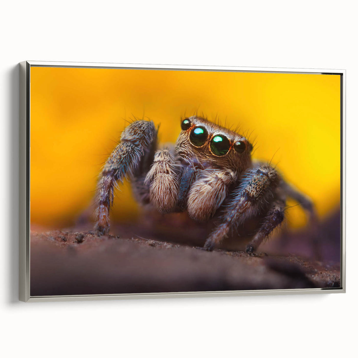 Framed wall art featuring a detailed design of an insect and arachnid spider, elegantly displayed with a silver frame, perfect for nature-themed decor.