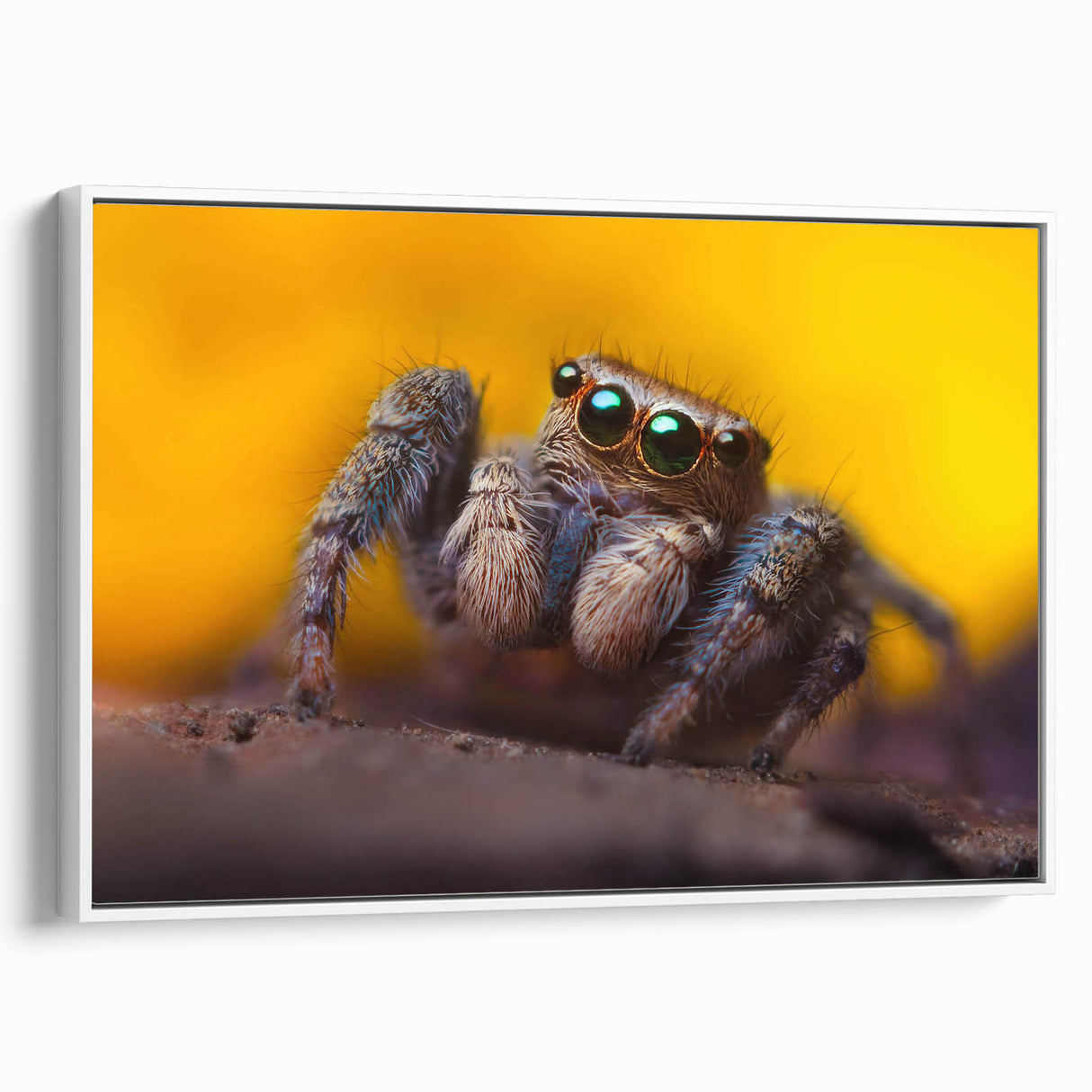 Framed wall art featuring a detailed spider design on canvas, showcasing intricate patterns in dark and light tones, perfect for insect enthusiasts and modern decor.