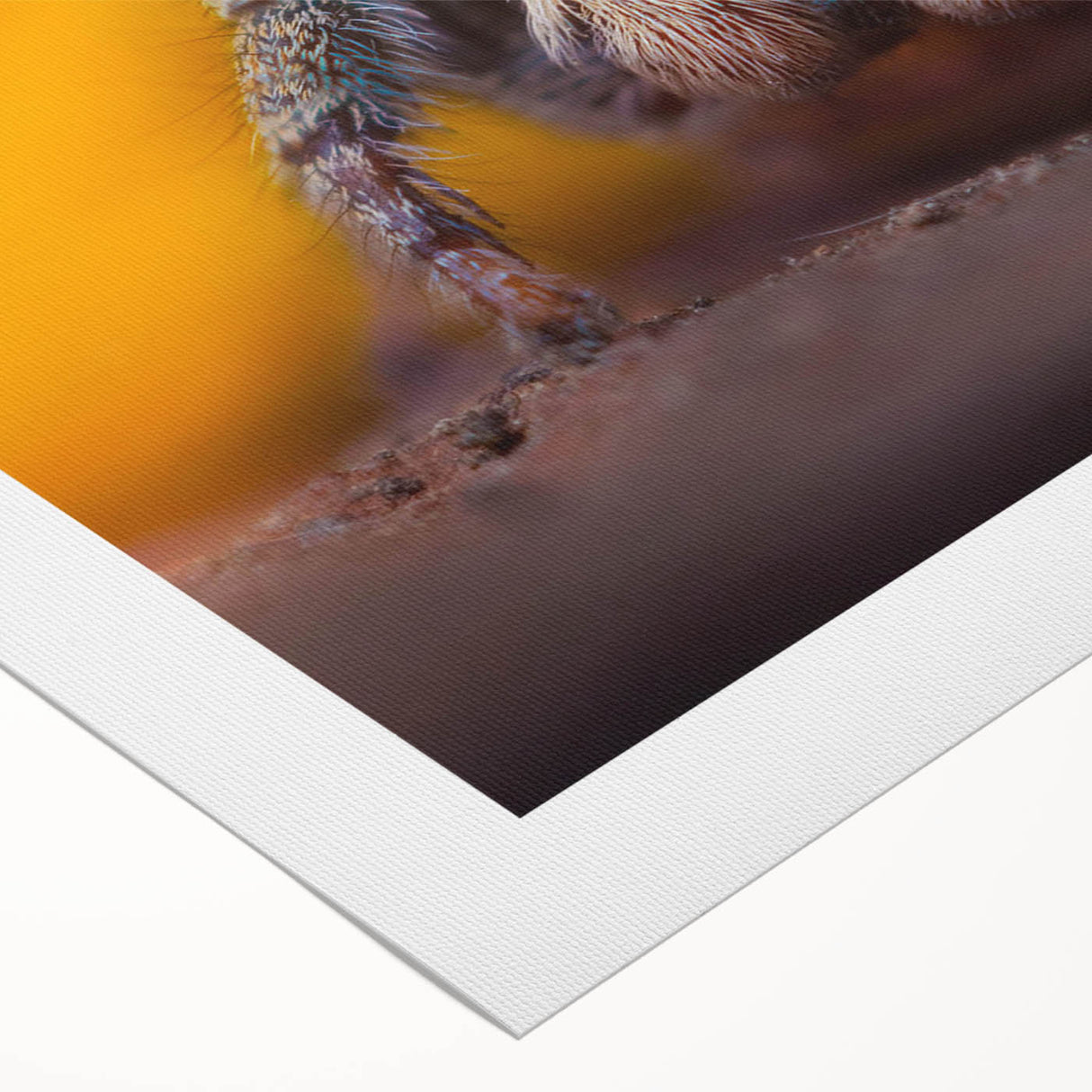 Stylish rolled canvas wall art featuring a detailed design of an insect and arachnid spider, showcasing vibrant colors and intricate patterns, ideal for nature enthusiasts.