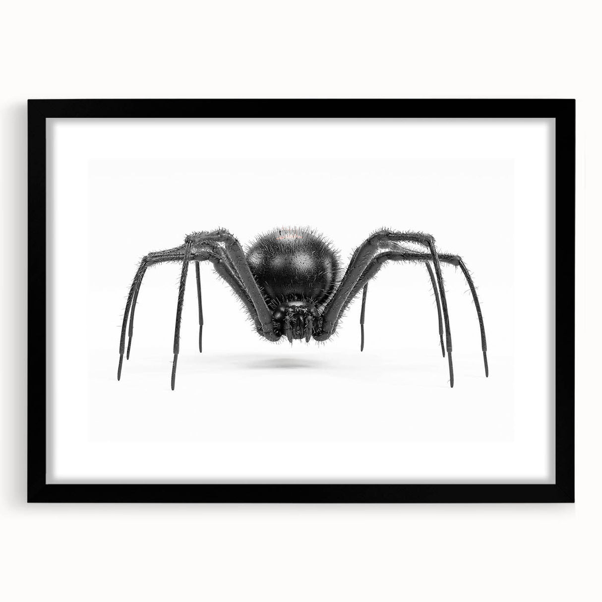 Black-framed wall art showcasing a detailed insect and arachnid spider design, perfect for nature lovers and modern decor enthusiasts. This stylish piece adds an elegant touch to any room.