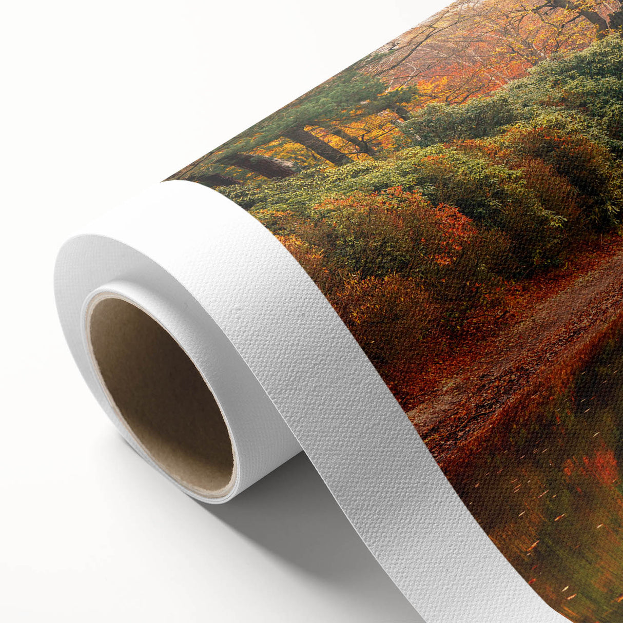 Rolled canvas wall art collection showcasing a vibrant landscape and bridge design, featuring rich colors and intricate details, ideal for home decor.