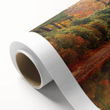 Rolled canvas wall art collection showcasing a vibrant landscape and bridge design, featuring rich colors and intricate details, ideal for home decor.