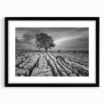 Framed wall art design showcasing a serene countryside landscape, featuring vibrant greens and soft blues, presented in a sleek black frame with a mat for an elegant touch. Perfect for home decor enthusiasts seeking to enhance their living space with nature-inspired artwork.