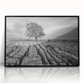 Framed acrylic wall art featuring a serene countryside landscape design, showcasing vibrant greens and blues, perfect for enhancing home decor with a touch of nature.