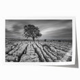 Rolled print showcasing a serene countryside landscape with rolling hills and vibrant green fields, perfect for home decor. Packaged securely in a cardboard tube for safe delivery.
