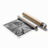 Rolled print of a serene countryside landscape featuring lush green fields, distant hills, and a clear blue sky, designed for wall art display in home decor.