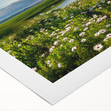 Vibrant rolled canvas showcasing a serene countryside landscape design, featuring lush green fields and a clear blue sky, perfect for home decor enhancement.