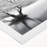 Rolled canvas showcasing a serene countryside landscape design with vibrant colors and intricate details, perfect for home decor and art enthusiasts.