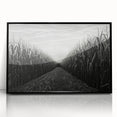 Framed acrylic wall art showcasing a picturesque countryside landscape with vibrant colors, perfect for adding a touch of nature-inspired decor to any room.