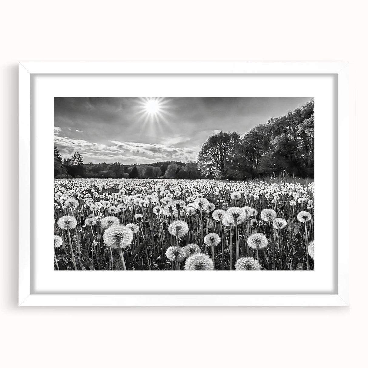 Framed wall art collection showcasing idyllic countryside landscapes, featuring white matting and a sleek frame design, perfect for enhancing home decor.