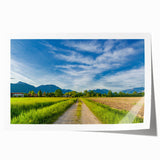 Rustic countryside landscape wall art print showcasing vibrant green fields and a serene blue sky, rolled for easy shipping and display. Perfect for home decor.