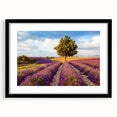 Framed wall art collection showcasing serene countryside landscapes, featuring a black frame and matting, perfect for enhancing home decor with nature-inspired elegance.