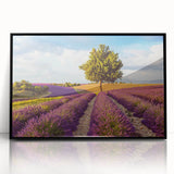 Framed acrylic wall art showcasing a serene countryside landscape with vibrant greenery and rolling hills, set in a sleek black frame for modern decor.