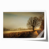 Vibrant rolled canvas print showcasing a serene countryside landscape design, featuring lush green fields, rolling hills, and a tranquil sky, perfect for home decor.