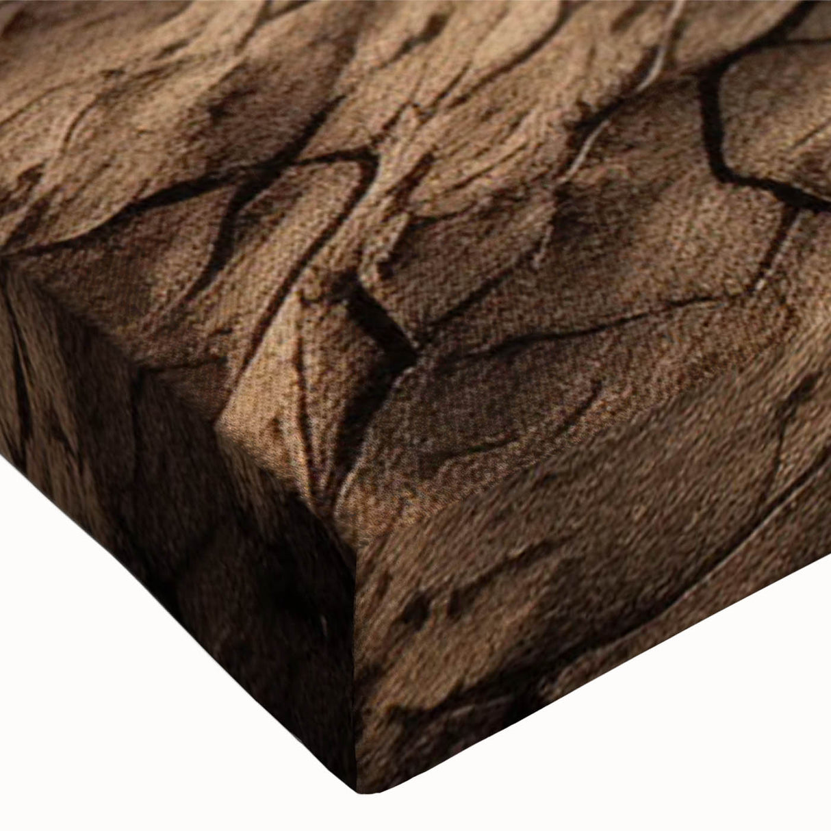 Close-up of a stretched canvas featuring a vibrant desert landscape design, showcasing intricate textures and warm colors, perfect for modern home decor.