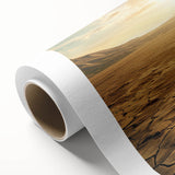 Desert landscape wall art collection on rolled canvas showcasing vibrant, warm tones and intricate details, ideal for enhancing modern home decor.