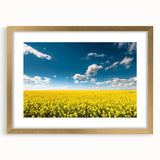 Framed wall art showcasing a serene landscape of golden fields, elegantly matted and set in a stylish gold frame, perfect for home decor enhancement.