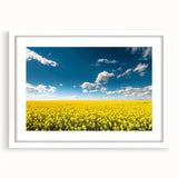 Framed wall art showcasing a vibrant landscape field design, featuring a white mat and elegant frame, perfect for enhancing home decor aesthetics. Ideal for nature lovers.