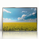 Framed acrylic wall art showcasing a serene landscape of golden fields under a clear blue sky, designed to enhance modern interior decor with a touch of nature.