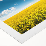 Vibrant rolled canvas showcasing a stunning landscape field design, ideal for home decor. Features rich colors and intricate details, packaged securely in a protective cardboard tube.