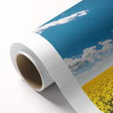 Vibrant rolled canvas showcasing a serene landscape of rolling green fields and a bright blue sky, ideal for home decor and artistic inspiration, presented in protective packaging.