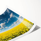 Vibrant rolled print of a landscape field design featuring lush green fields under a bright blue sky, ideal for home decor and nature enthusiasts.