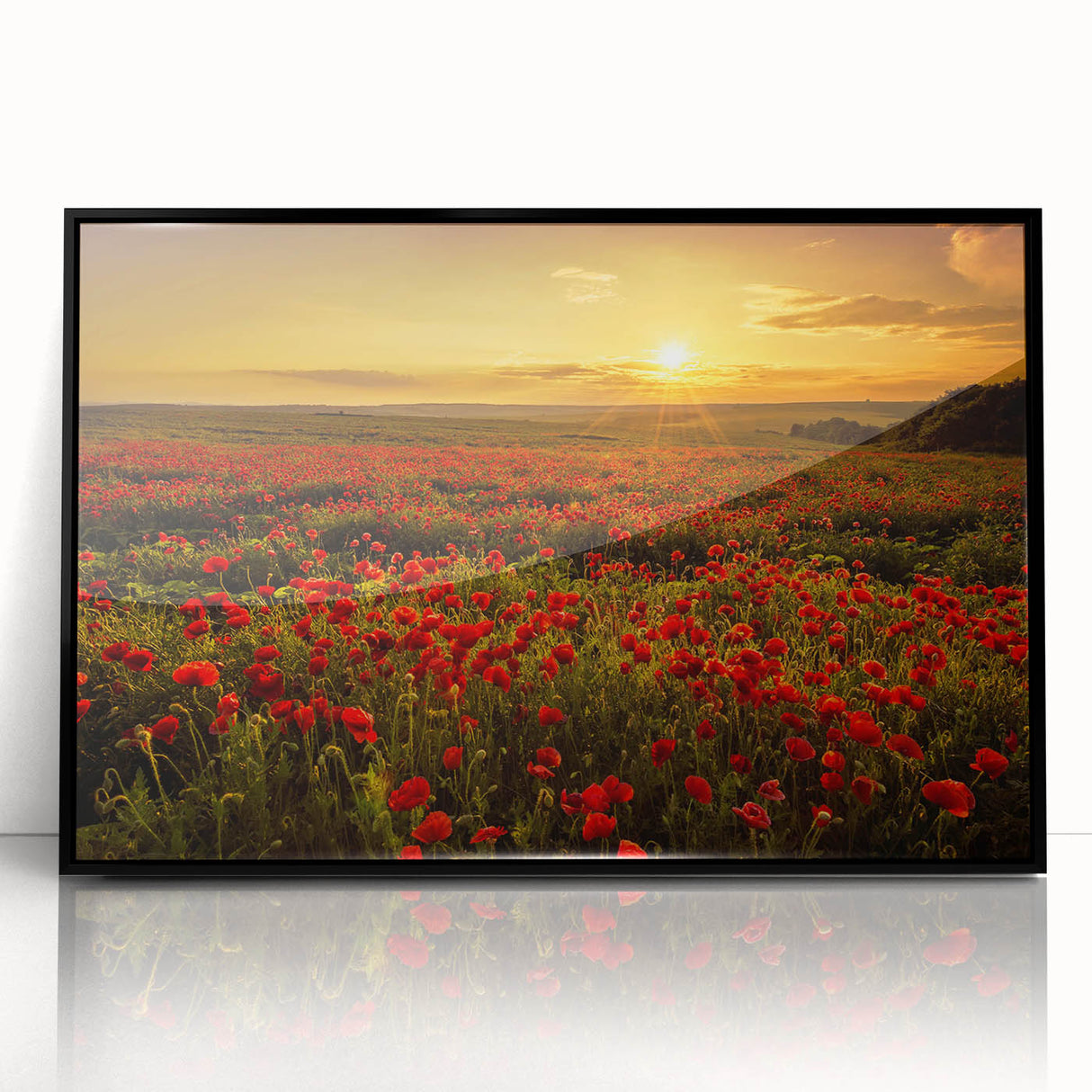 Framed acrylic wall art depicting serene landscape fields, featuring vibrant green and golden hues, ideal for home decor and interior design enhancement.
