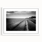 Framed wall art collection showcasing serene landscape fields with a white mat, perfect for home decor. Elegant front view highlights its modern design and natural hues.