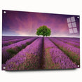 Acrylic glass wall art piece showcasing vibrant landscape fields design, viewed from the side with decorative pins, ideal for modern home decor and art enthusiasts.