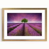 Framed wall art collection showcasing vibrant landscapes and fields, featuring a gold frame and mat, ideal for enhancing home decor with a touch of elegance.