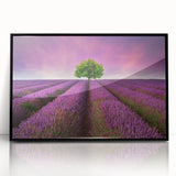 Framed acrylic wall art featuring a serene landscape of lush green fields under a bright blue sky, with a sleek black frame enhancing its modern aesthetic. Perfect for adding a touch of nature-inspired decor to any space.