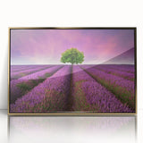 Framed acrylic wall art depicting a serene landscape with golden hues, perfect for enhancing home decor. Ideal for modern interiors and art enthusiasts.