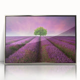 Framed acrylic wall art showcasing a vibrant landscape field design with silver accents, ideal for home decor, adding a contemporary touch to any space.