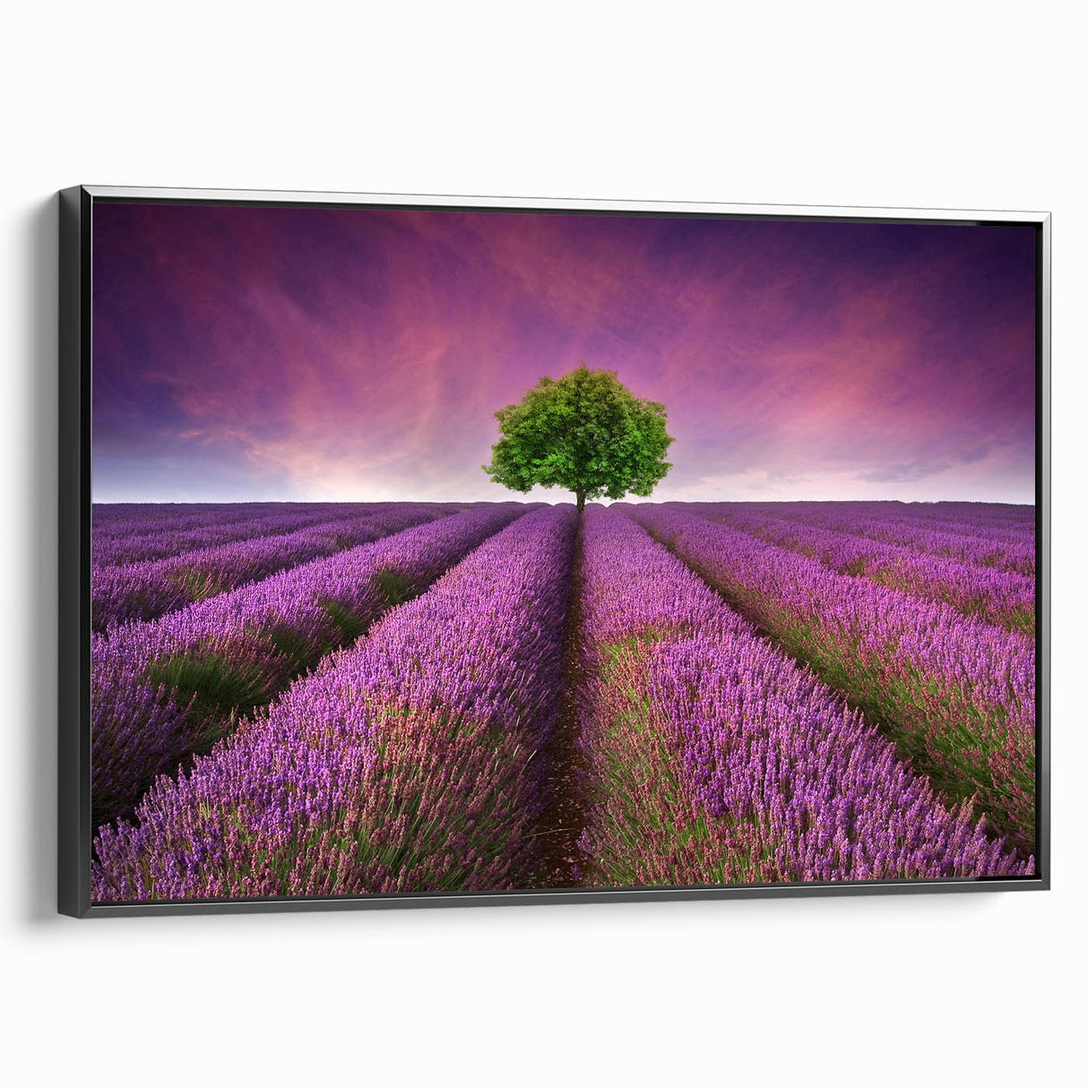 Framed wall art featuring a landscape design with vibrant fields and a black border, viewed from the side, ideal for enhancing home decor with natural beauty.